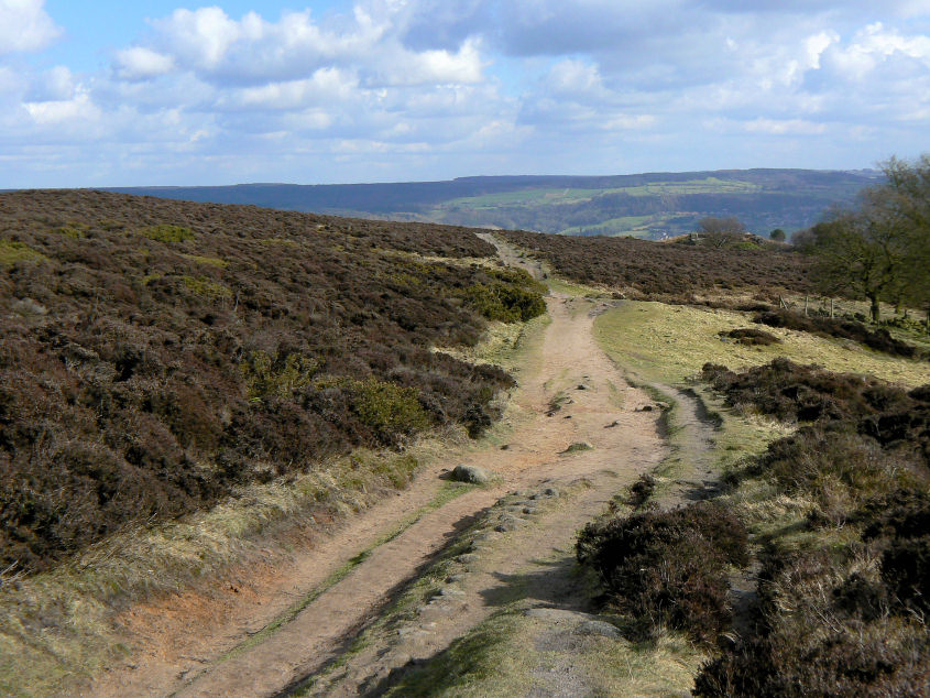 Farley Moor Farley Moor